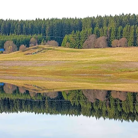 Hotel With Meadow View In Wildemann